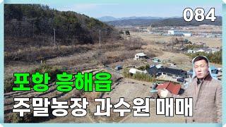 경북 포항 흥해읍 과수원 주말농장 | 084