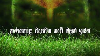 තණකොළ වැවෙන හැටි බලන් ඉන්න | Sinhala Motivational Video