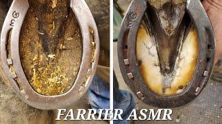 ASMR | Reusing an old horseshoe | SATISFYING