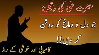 Golden Words of Hazrat Ali | Hazrat Ali's Pearls of Wisdom | part 2 | urdu quotes voice