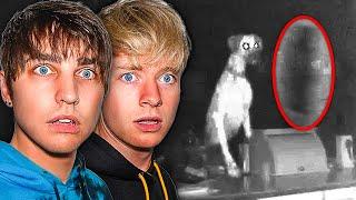 Scariest Ghost Sightings Caught By Pets!