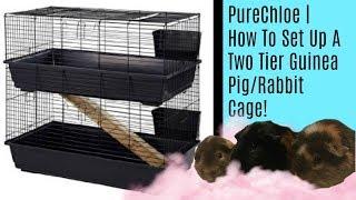 PureChloe | How To Set Up A 2 Tier Guinea Pig/Rabbit Cage!