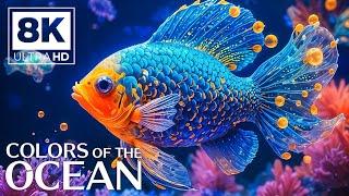 Under Red Sea 8K  Incredible Underwater World - Tropical Fish, Coral Reefs, Jellyfish Aquarium