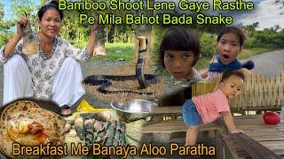 Went to take bamboo shoot, found a very big snake on the way|Made AlooParatha Village Life for b...