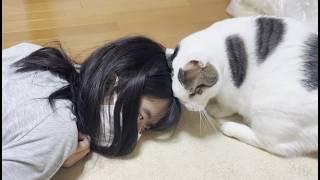 回復の兆しが見えた娘に寄り添ってあげる優しい猫