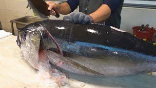 Amazing Skill！Best Tuna Cutting Master Collection, Luxurious Bluefin Tuna Sashimi 令人驚嘆的技巧！最好的鮪魚切割大師