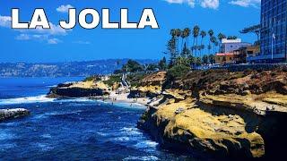 Top 10 Best Things to Do in La Jolla, California