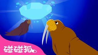 海象 | 認識海洋動物 | 海洋動物兒歌 | 臺灣配音 兒歌 童謠  | 鯊魚寶寶 Baby Shark l Kids Song Nursery Rhymes | 碰碰狐 Pinkfong