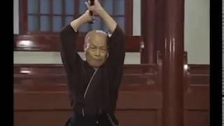 Iwata Norikazu Muso Jikiden Eishin Ryu Video 2