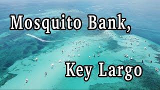 Mosquito Bank Sandbar, Key Largo ~ {Ep 201}
