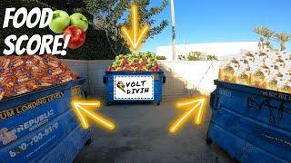 Dumpster Diving Food Score! Mr. Volt Plays Prank on Mrs. Volt- S2E55