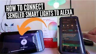 How To Connect Sengled To Alexa (Alexa Controlled Smart Light Bulbs)
