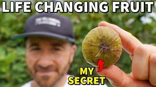 This One Little Fruit Will Change Your Life Forever!