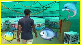 One of the biggest Biofloc Fish Farm setup in India.