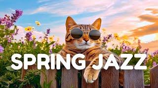 Happy Morning Jazz  4K Spring Coffee Shop Ambience with Relaxing Jazz Instrumental Music for Work