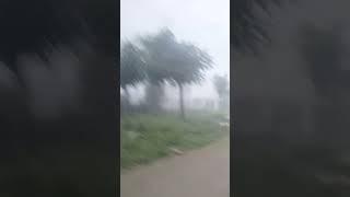 amazing Fogg| Santosh Biradar