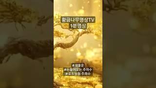 1분명상돈버는법!! 재물운!! 돈이 들어오는 주파수!! 부자되는 주파수!!