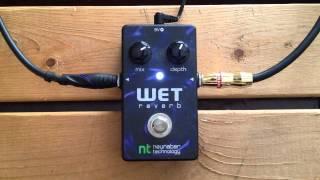 5 Minutes with the Neunaber Technology Wet Reverb - Pedal Demo