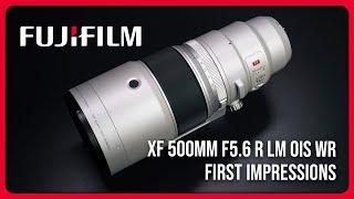 New Telephoto Prime Lens! Fujifilm XF-500mm f5.6 First Impressions Lens Review