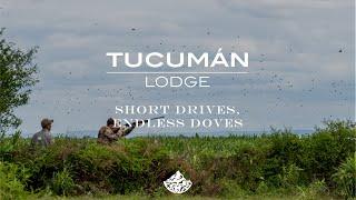 Tucumán Lodge: The Ultimate Dove Hunting Destination for Wingshooters