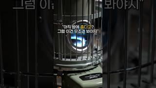 알라딘 난로! 레트로 감성 간절기난로 #레트로난로 #감성난로 #캠핑난로 #등유난로 #알라딘난로 #알라딘블루프레임