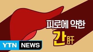 생활 속 간(肝)건강 지키기 / YTN (Yes! Top News)