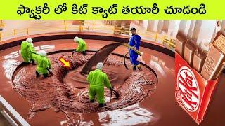 kitkat chocolate making in factory / fish oil making in factory / facts in telugu / bmc facts