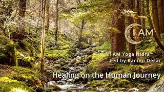 Healing on the Human Journey - Yoga Nidra / NSDR