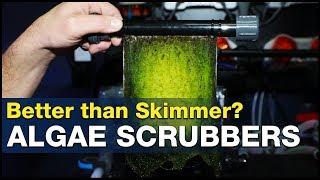 Can an Algae Scrubber outperform a Protein Skimmer at excess nutrient removal? | BRStv Investigates