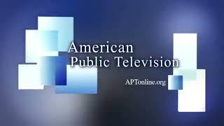 WGBH, WGBY, and American Public Television