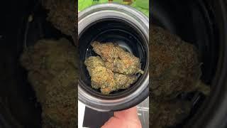 Cannect Wellness- The Best Cultivator in Illinois