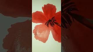 Hibiscus #shorts