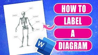 How to Label a Diagram, Picture, or Photo and Save It as an Image, PDF, or Word Doc