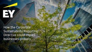 How the Corporate Sustainability Reporting Directive could impact businesses globally