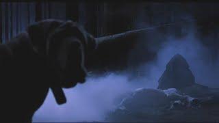 Harry meets Voldemort for first time while feeding on an unicorn | Harry Potter and Sorcerer's Stone