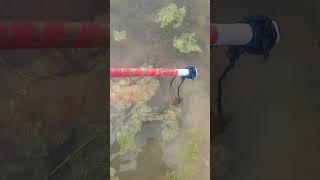 Unique Fishing Idea #fish #fishvideo #shorts #fishingshorts