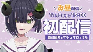 【初配信】はじめまして‼️泡魔ねふぃです‼️‼️【新人VTuber】