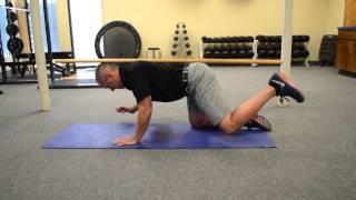 Strengthening the Spine | Horse Stance Exercise #2 with Dr. Bradley