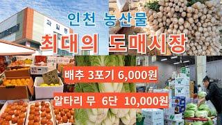 농산물 '이래도 되나요'?  (2024.11.02일, 삼산도매시장 탐방) ~^ 힐링 여행