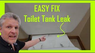 EASY $5 FIX!  Kohler Toilet Tank Leak When You Flush