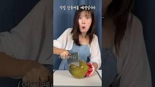 하다 하다 코코펄까지 만들었다