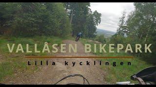 Vallåsen Lilla kycklingen 4k