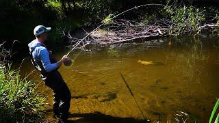 Epic Salmon BOBBER DOWNS! Float Fishing for Kings