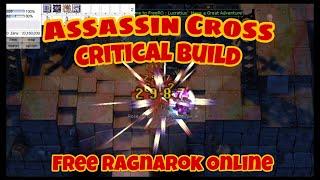 Guide to Build Assassin Cross Critical | Free Ragnarok Online