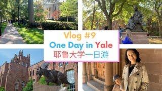 【耶鲁Vlog】耶鲁大学一日游 | One Day in Yale Univ.| 自然历史博物馆 | 商学院午餐 | Beinecke古籍善本图书馆 | 推荐冰激凌店