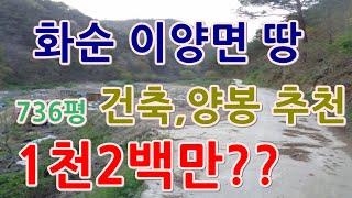 [부동산 경매물건] 전남 화순 이양면 쌍봉리 땅! 산속 한적한 곳에 위치한 땅