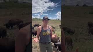 Sarah Gleason discusses regenerative agriculture principles of biodiversity on her bison ranch.