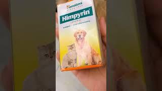 Cat and Dog medicine for fever/ painkiller #catcare #persian