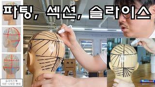 파팅, 섹션, 슬라이스 입니다 /미용이론/미용기초/초급 베이직//커트이론/헤어디자이너교육/나는미용사다/hair style/hair style/how to cut quick