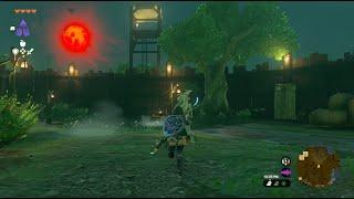All Hestu Locations (Zelda: Tears of The Kingdom)!!!